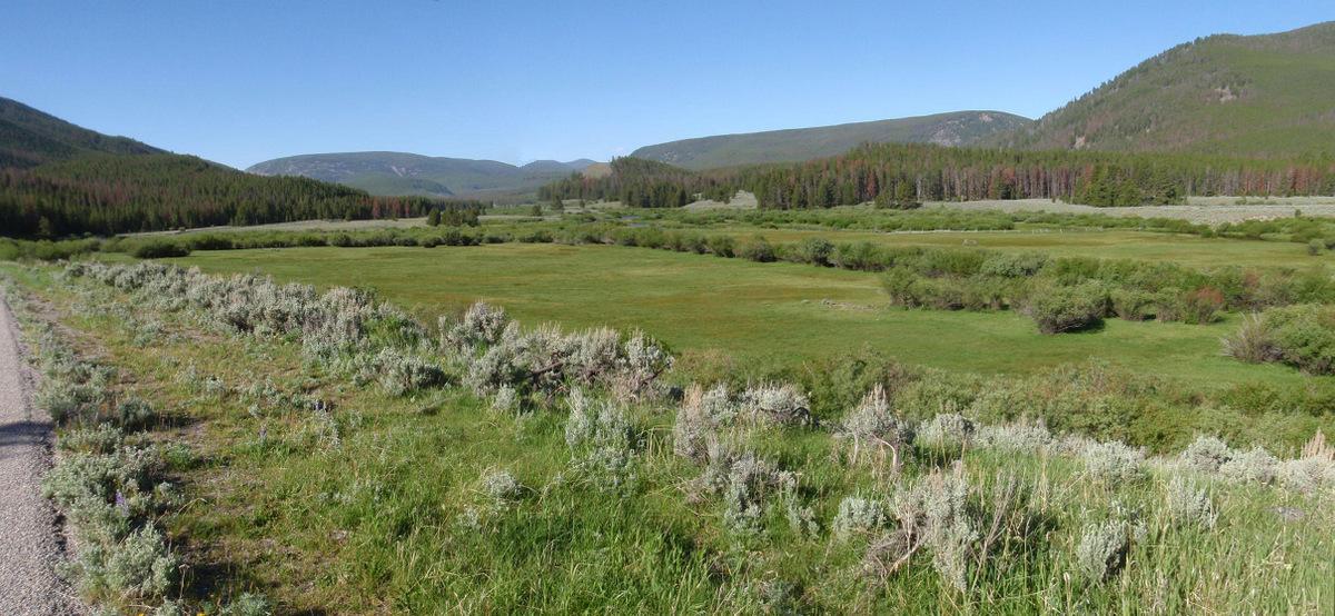 Generous delta of the Wise River and Lacy Creek area.